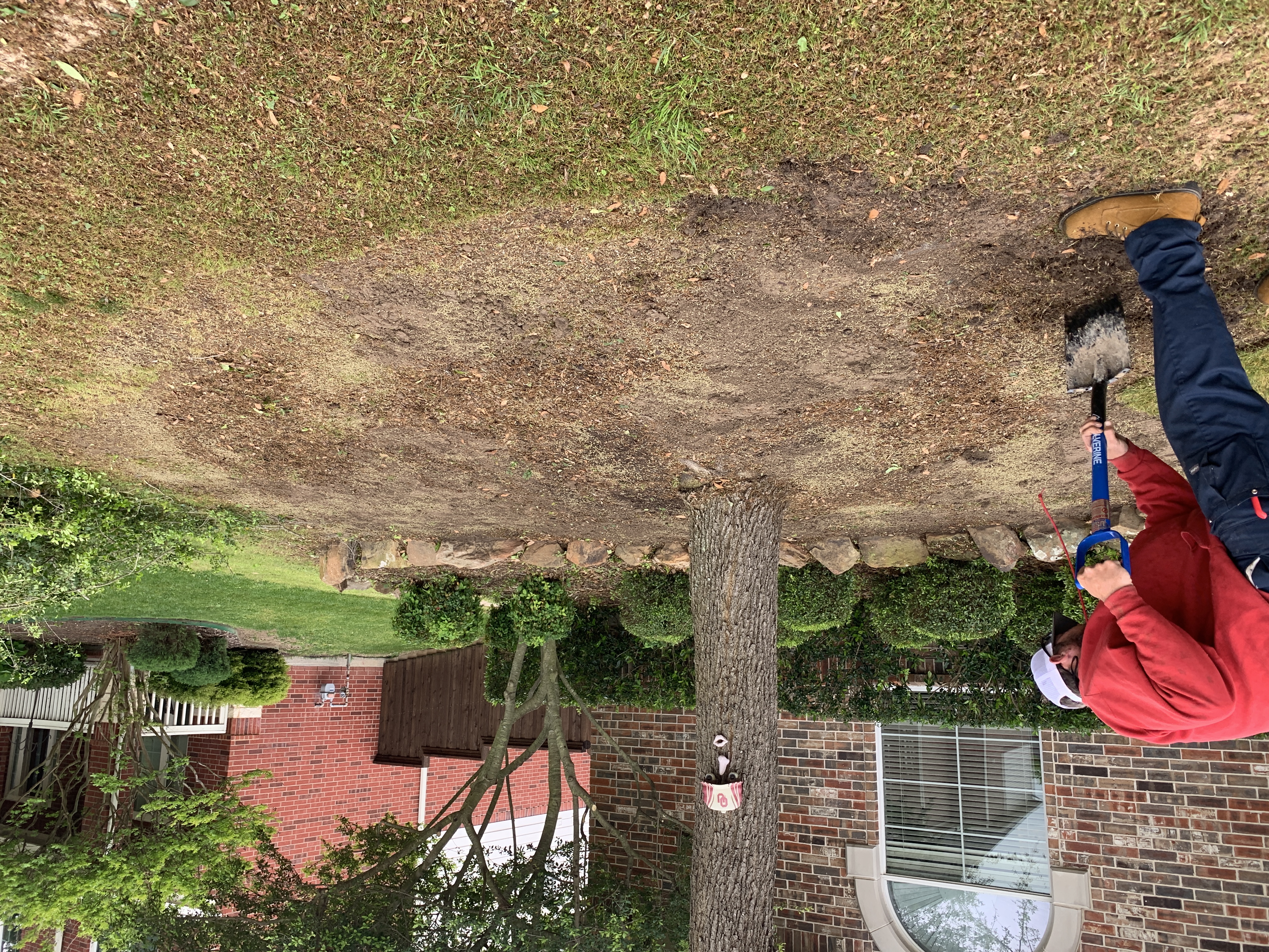 Sod installation in Melissa, Texas — All Seasons Lawn Care