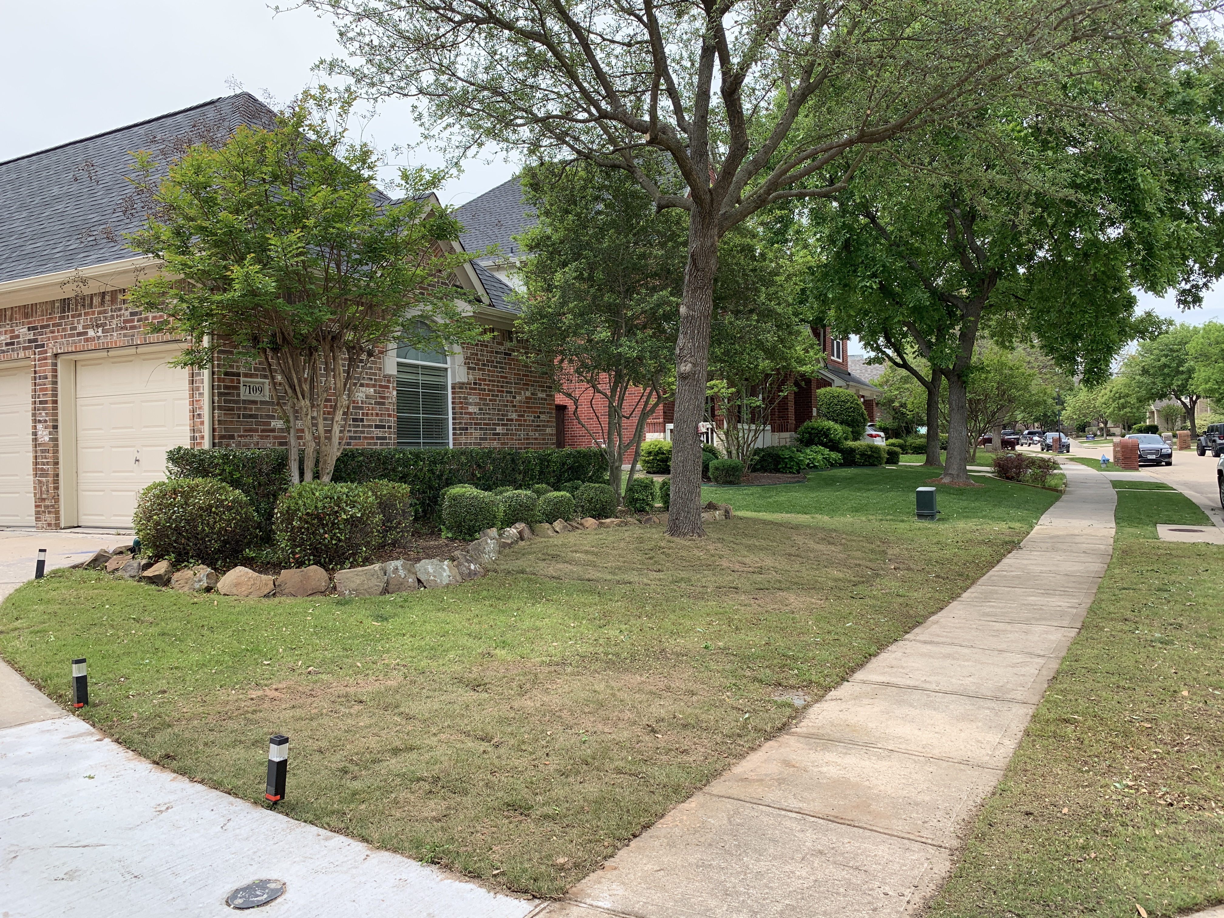 Shrub and hedge trimming in McKinney, Texas — All Seasons Lawn Care